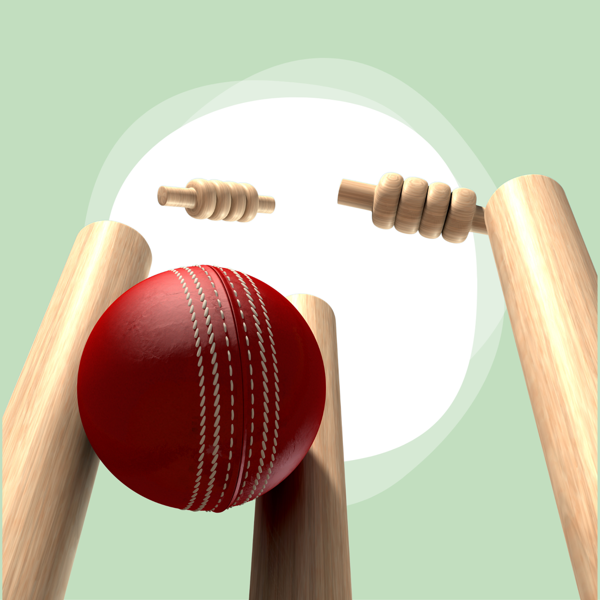 Tennis Ball Cricket