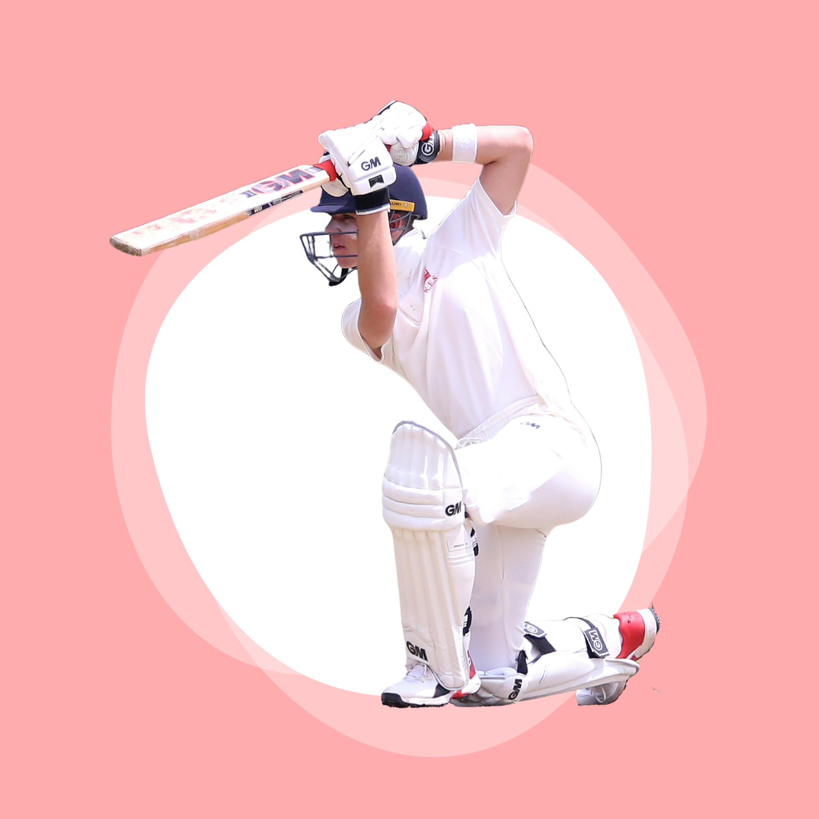 Hard Ball Cricket
