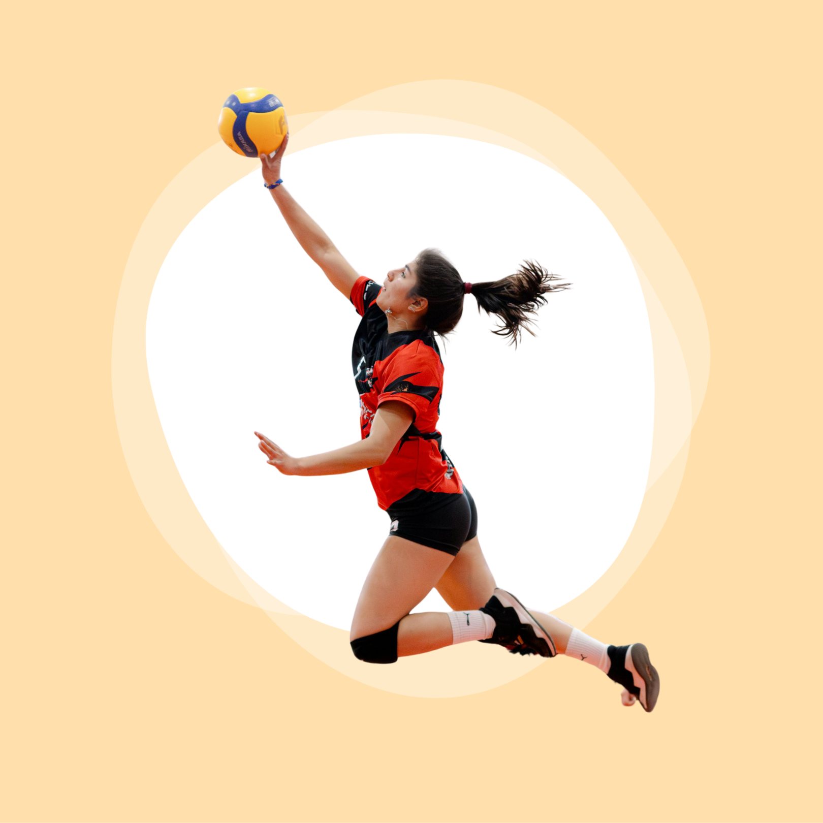 Volleyball
